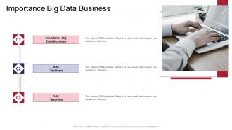 Importance Big Data Business In Powerpoint And Google Slides Cpb