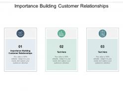Importance building customer relationships ppt powerpoint presentation professional examples cpb