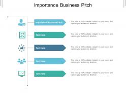 Importance business pitch ppt powerpoint presentation infographics summary cpb
