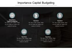 Importance capital budgeting ppt powerpoint presentation icon example introduction cpb