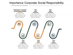 Importance corporate social responsibility ppt powerpoint presentation outline files cpb
