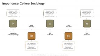 Importance Culture Sociology In Powerpoint And Google Slides Cpb