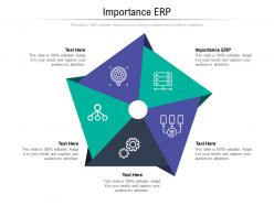 Importance erp ppt powerpoint presentation icon rules cpb