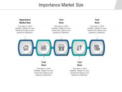 Importance market size ppt powerpoint presentation infographic template gridlines cpb