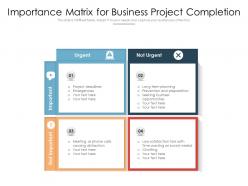Importance matrix for business project completion