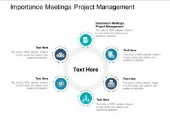 Importance meetings project management ppt powerpoint presentation summary guide cpb