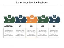 Importance mentor business ppt powerpoint presentation styles file formats cpb