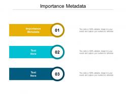 Importance metadata ppt powerpoint presentation file background designs cpb