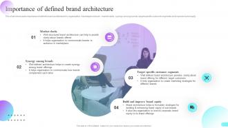 Importance Of Defined Brand Architecture Multi Brand Strategies For Different Market