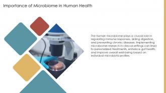 Importance Of Microbiome In Human Health PPT Template ACP