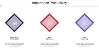 Importance Productivity Ppt Powerpoint Presentation Show Elements Cpb