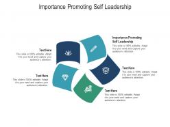 Importance promoting self leadership ppt powerpoint presentation pictures example cpb