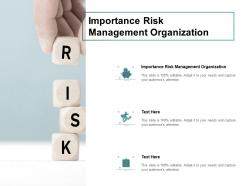 Importance risk management organization ppt powerpoint slides cpb