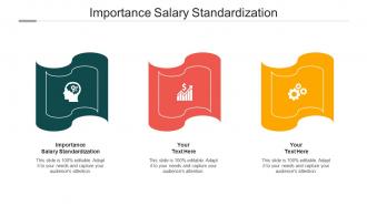 Importance Salary Standardization Ppt Powerpoint Presentation Icon Examples Cpb