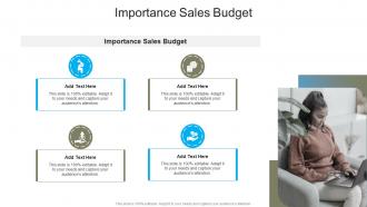 Importance Sales Budget In Powerpoint And Google Slides Cpb