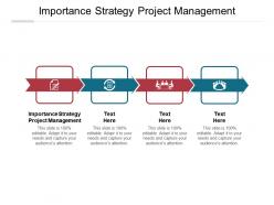 Importance strategy project management ppt powerpoint presentation pictures inspiration cpb