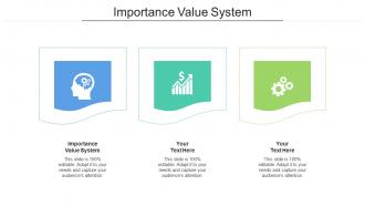 Importance value system ppt powerpoint presentation file visual aids cpb