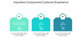 Important components customer experience ppt powerpoint presentation outline files cpb