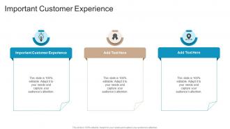 Important Customer Experience In Powerpoint And Google Slides Cpb