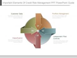 Important Elements Of Credit Risk Management Ppt Powerpoint Guide