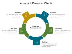 Important financial clients ppt powerpoint presentation ideas graphic tips cpb