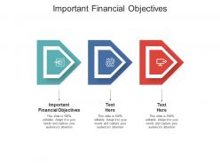 Important financial objectives ppt powerpoint presentation inspiration objects cpb