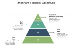 Important financial objectives ppt powerpoint presentation portfolio example cpb