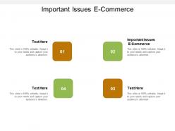 Important issues e commerce ppt powerpoint presentation icon examples cpb