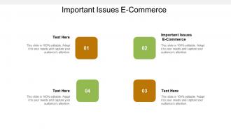 Important issues e commerce ppt powerpoint presentation layouts elements cpb