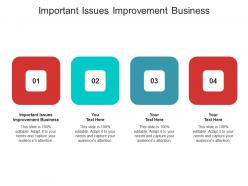 Important issues improvement business ppt powerpoint presentation inspiration visual aids cpb