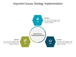 Important issues strategy implementation ppt powerpoint presentation layouts samples cpb