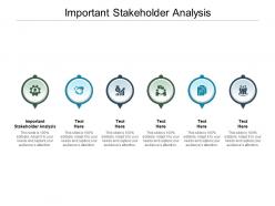 Important stakeholder analysis ppt powerpoint presentation gallery example file cpb