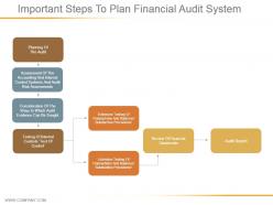 Important steps to plan financial audit system ppt diagrams