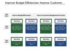 Improve budget efficiencies improve customer management processes service excellence
