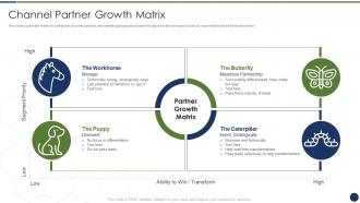 Improve management complex business partners channel partner growth matrix