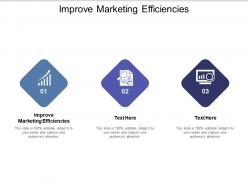 Improve marketing efficiencies ppt powerpoint presentation infographic template examples cpb