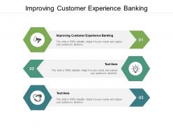 Improving customer experience banking ppt powerpoint presentation infographic template cpb