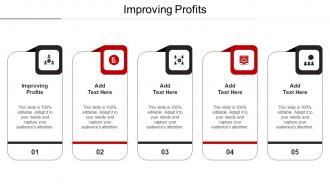 Improving Profits Ppt Powerpoint Presentation Layouts Icons Cpb