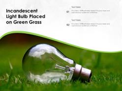 Incandescent light bulb placed on green grass