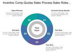 Incentive comp quotas sales process sales roles structure