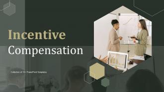 Incentive Compensation Powerpoint PPT Template Bundles