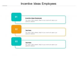 Incentive ideas employees ppt powerpoint presentation layouts summary cpb
