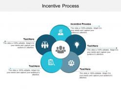 Incentive process ppt powerpoint presentation file portrait cpb