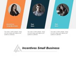 incentives_small_business_ppt_powerpoint_presentation_infographics_example_cpb_Slide01