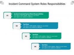 Incident command system roles responsibilities ppt powerpoint presentation infographics design inspiration cpb