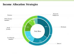 Income allocation strategies investment plans ppt model guidelines