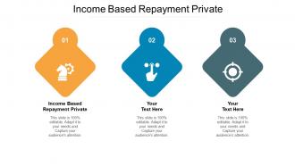 Income based repayment private ppt powerpoint presentation professional infographic cpb