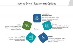Income driven repayment options ppt powerpoint presentation summary example cpb