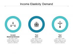 Income elasticity demand ppt powerpoint presentation gallery format ideas cpb