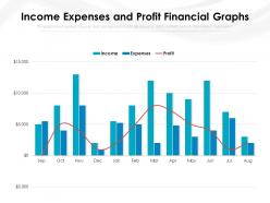 Income expenses and profit financial graphs